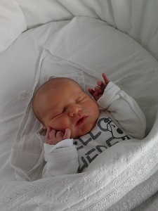 Jesse website